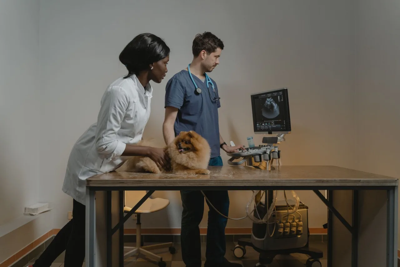 Liver Ultrasound: Uses and Results