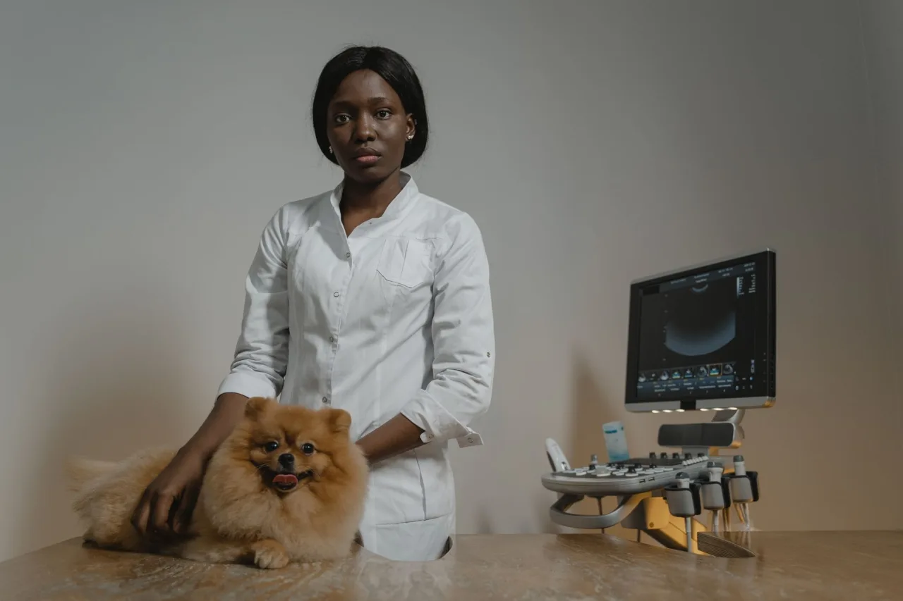 Liver Ultrasound: Uses and Results
