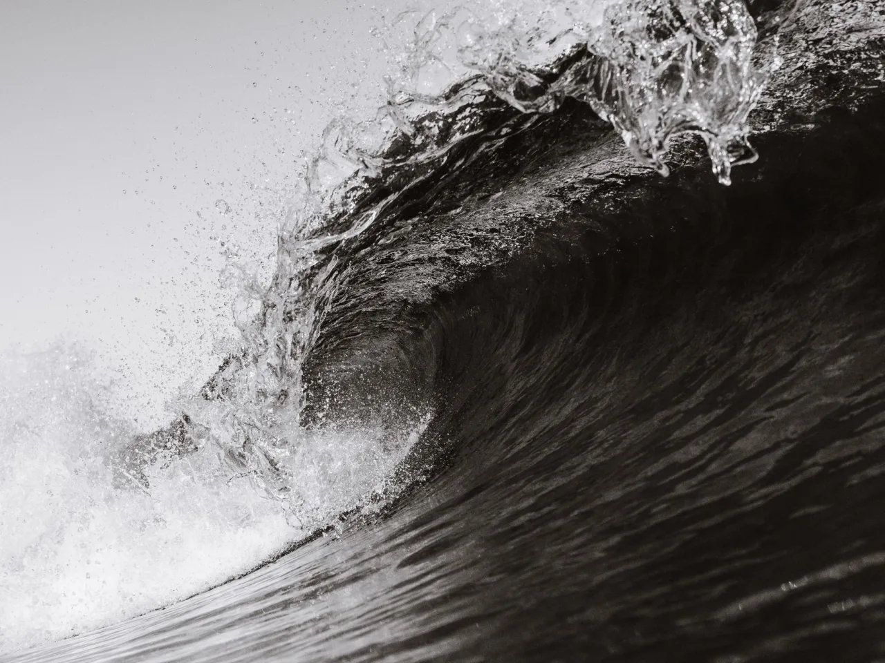 Wave Imaging